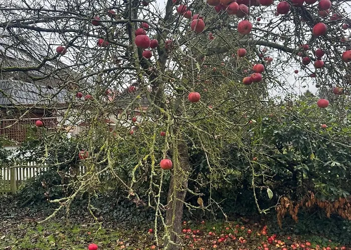Urlaub Am Fluss Im Historischen Altenburschla Διαμέρισμα Wanfried